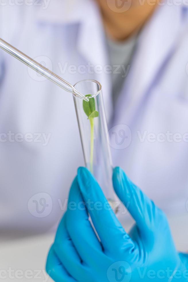 cientista fazendo experimentar dentro agricultura laboratório para desenvolver genético modificação cultivo foto