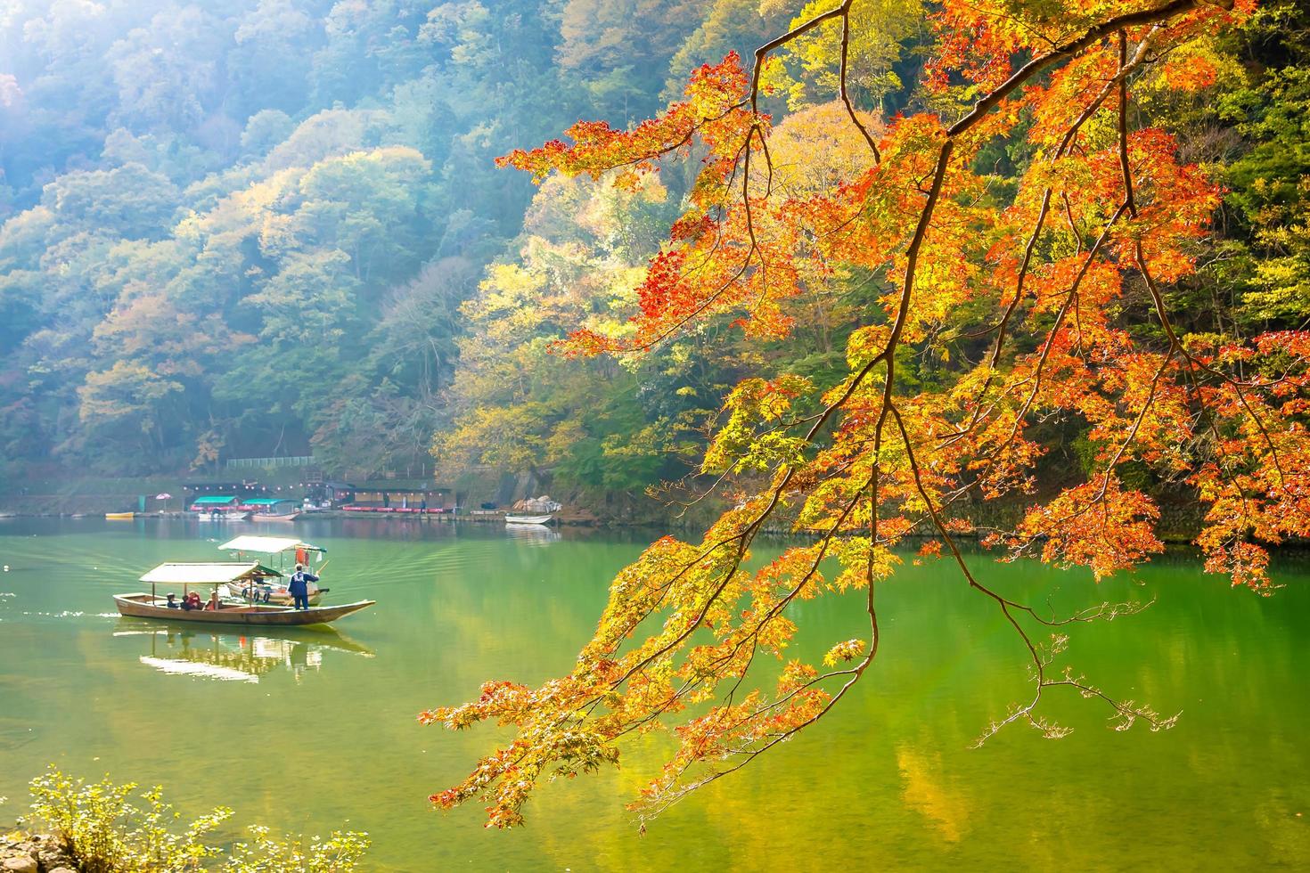 lindo rio arashiyama com árvore de bordo foto