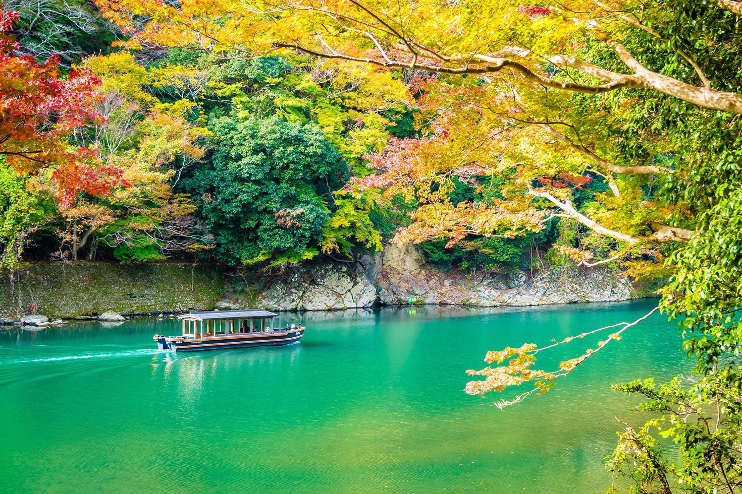 lindo rio arashiyama com árvore de bordo foto