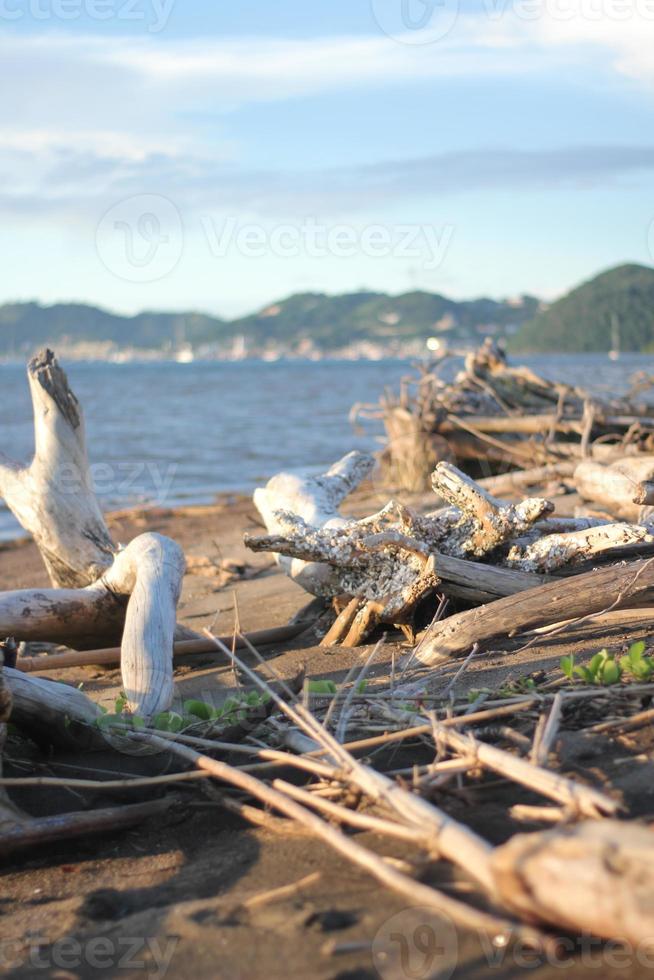 peças do madeira em a de praia foto