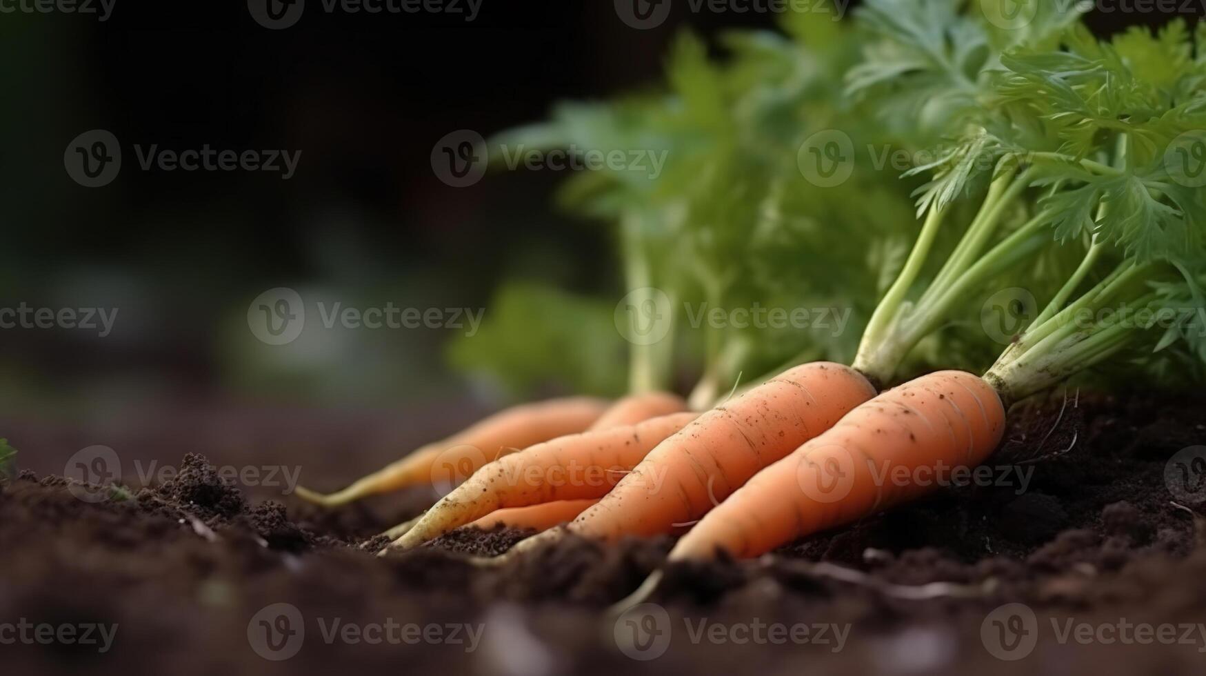 generativo ai, linha do fresco cenouras com verde folhas em a chão, legumes dentro a jardim, uma Boa colheita do eco produtos. foto