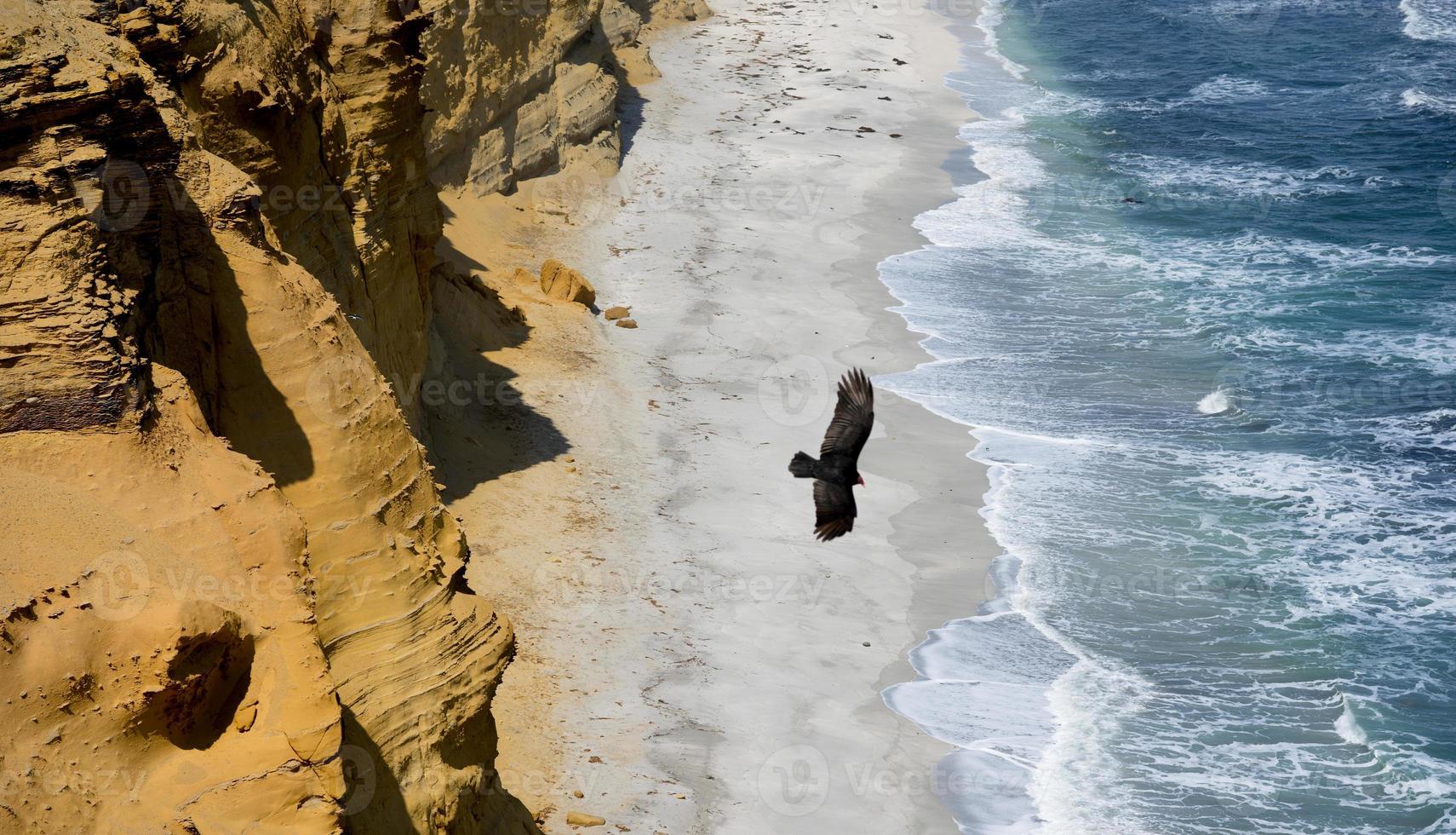 falésias na praia no peru foto