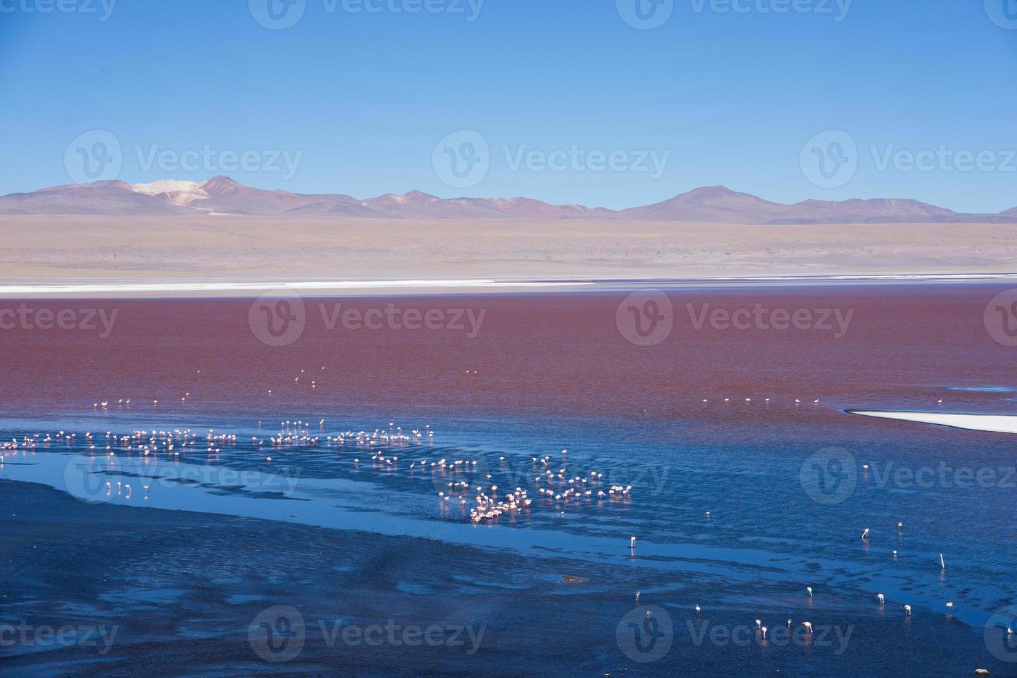 laguna colorida colorida no planalto altiplano na bolívia foto