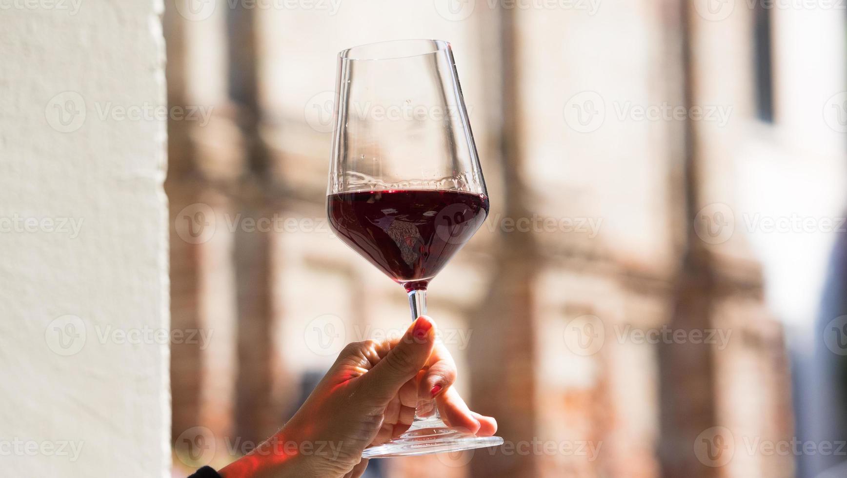 mão segurando uma taça de vinho foto