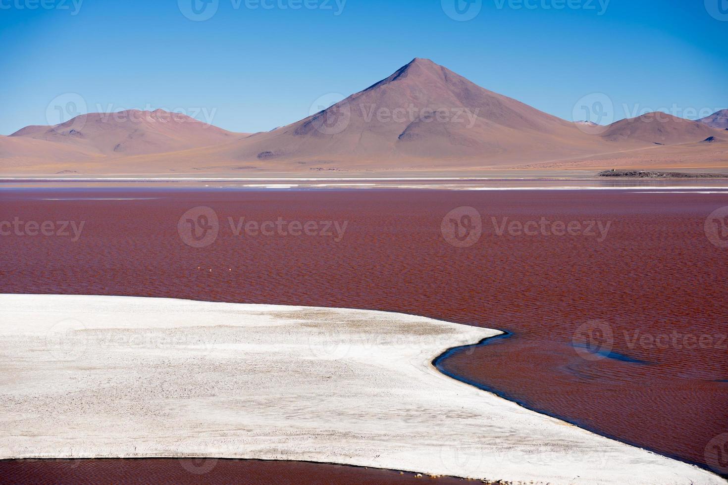 laguna colorada no planalto altiplano da bolívia foto