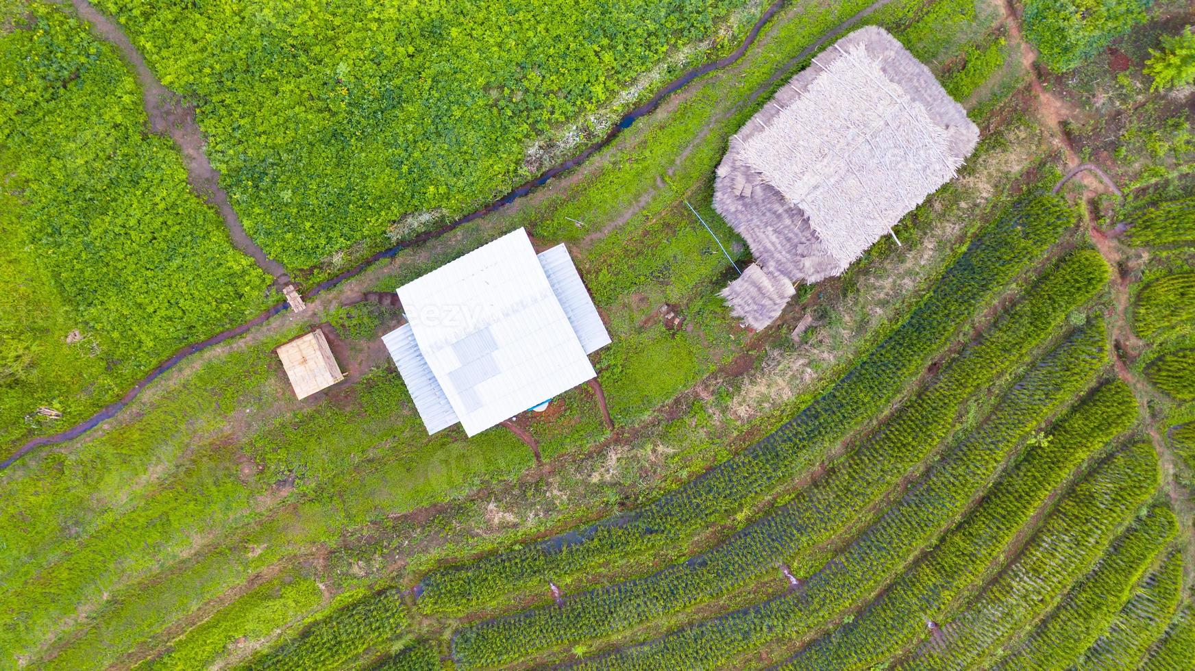 vista aérea dos verdes arrozais em socalcos foto