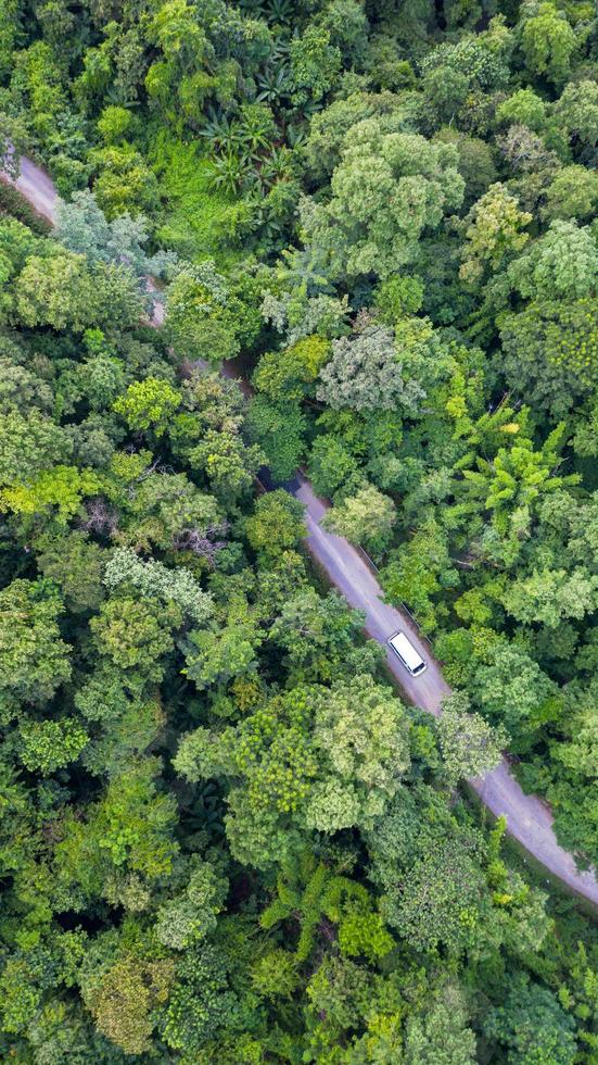 vista aérea de cima carro dirigindo pela floresta em estrada secundária, vista do drone foto