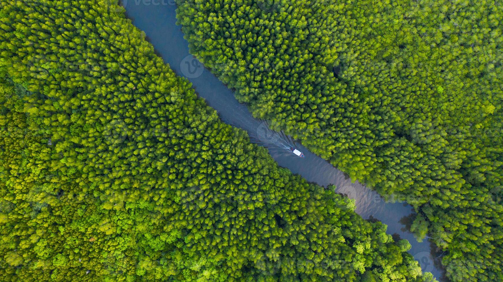 vista aérea superior de barco no rio em conservação de floresta de mangue na Tailândia foto