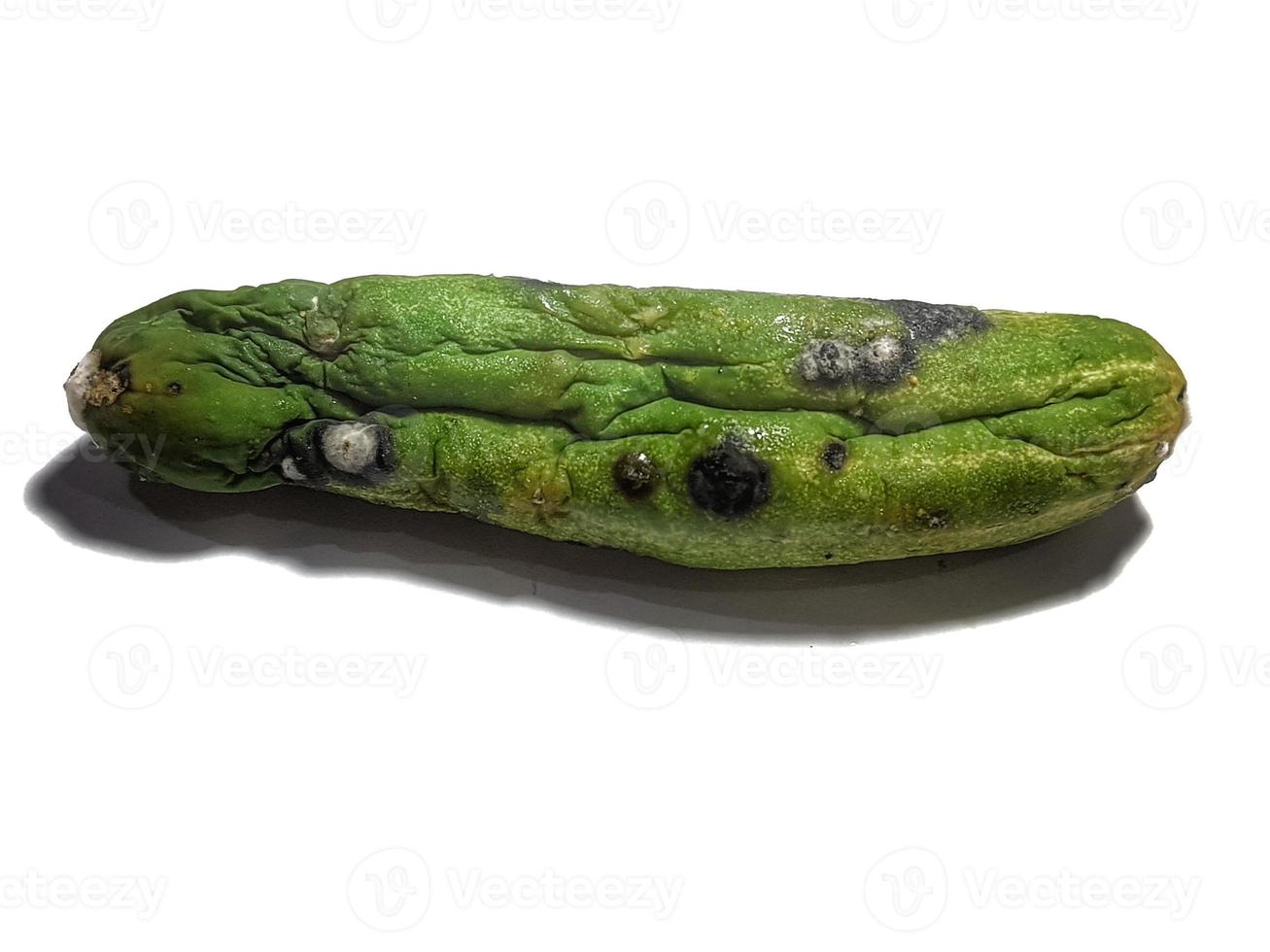 isolado branco foto do uma pepino este tem encolhido, começado para podridão e tem mofo.