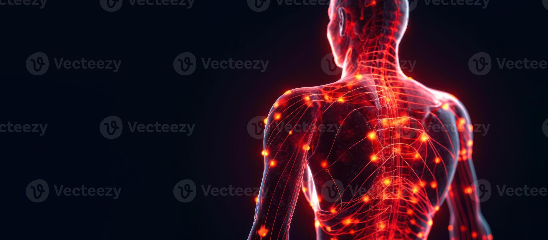 humano nervoso sistema, anatomia raio X humano corpo costas Visão cópia de espaço generativo ai foto