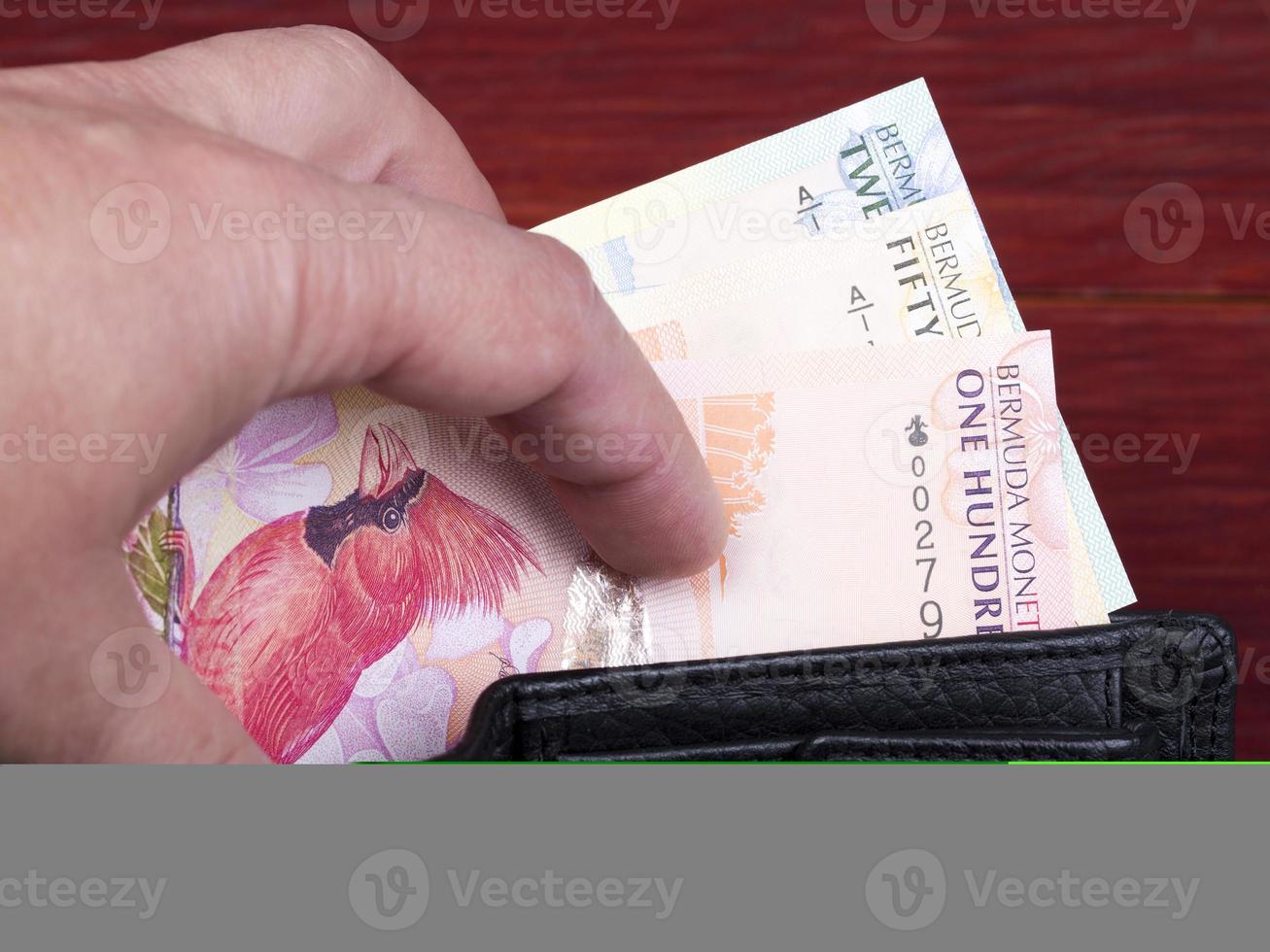 bermudense dólar dentro a Preto carteira foto