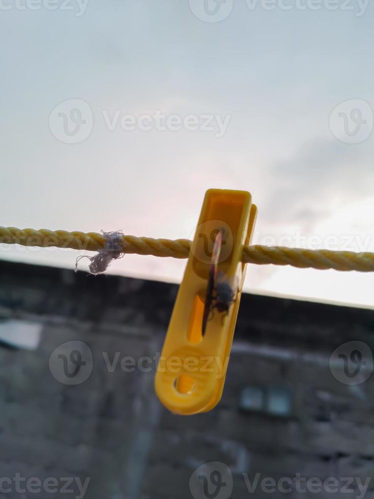 moscas suspensão em uma prendedor de roupa em uma corda. borrado e bokeh fundo foto