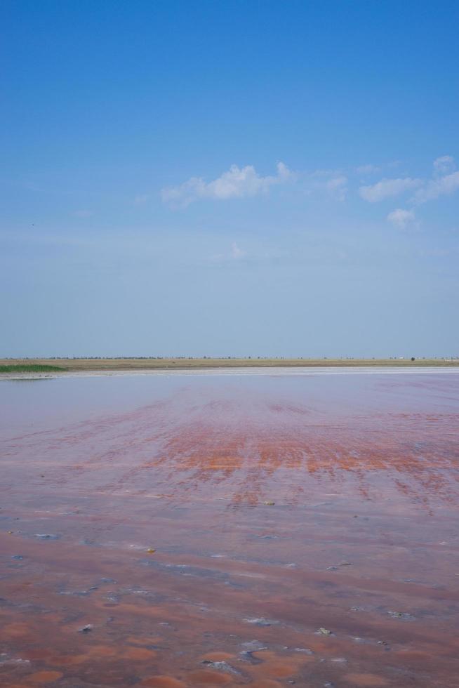 paisagem natural com vista para o lago de sal rosa. foto