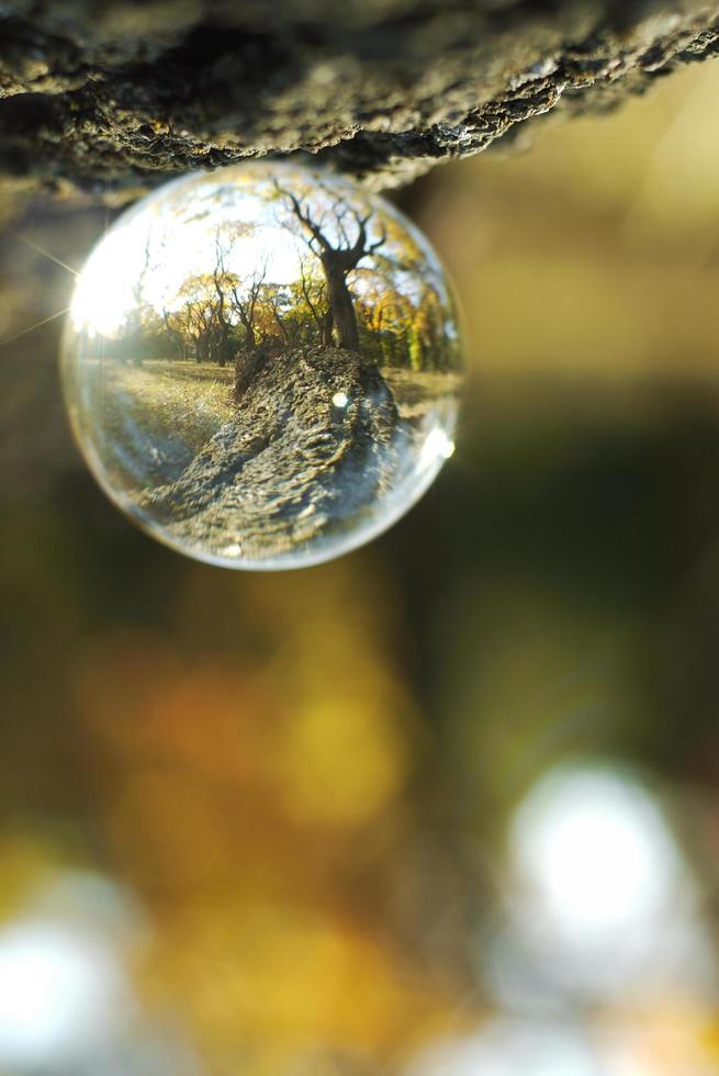 uma bola de lente em uma floresta de outono foto