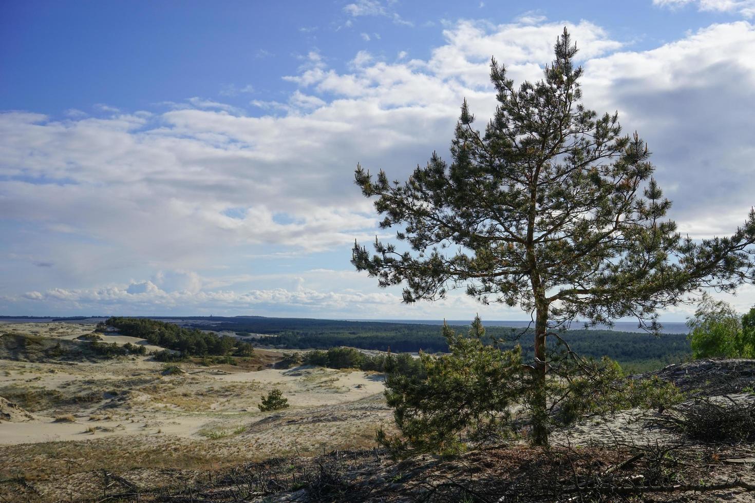 a paisagem natural do cuspe Kursk foto