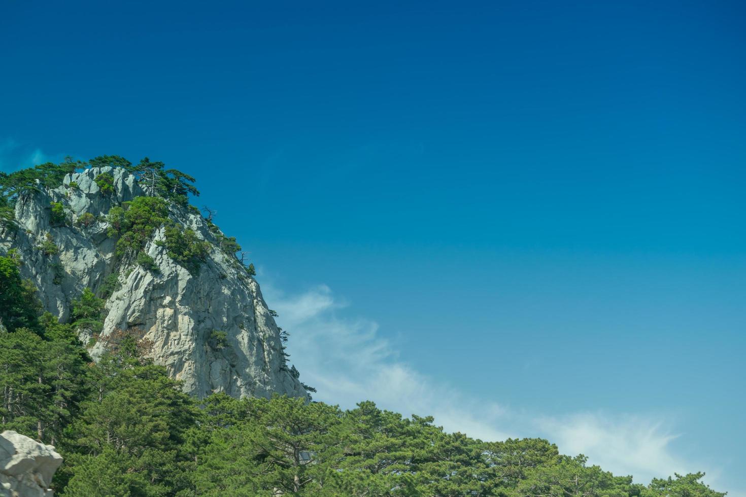 paisagem montanhosa com florestas em fundo de céu azul foto