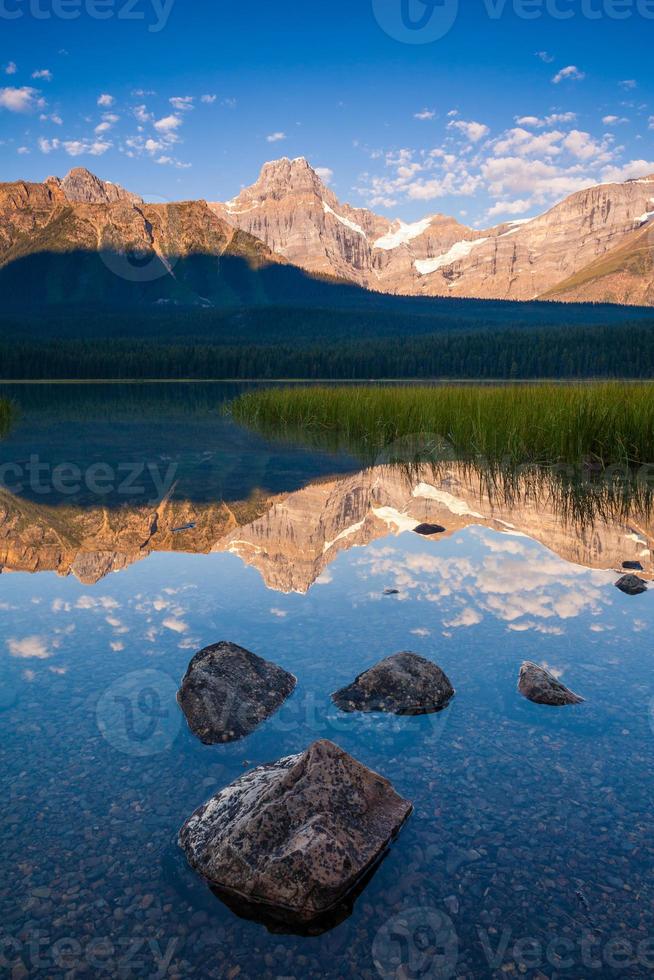 pico howse refletido no lago de aves aquáticas no parque nacional de banff, alberta, canadá ao nascer do sol foto