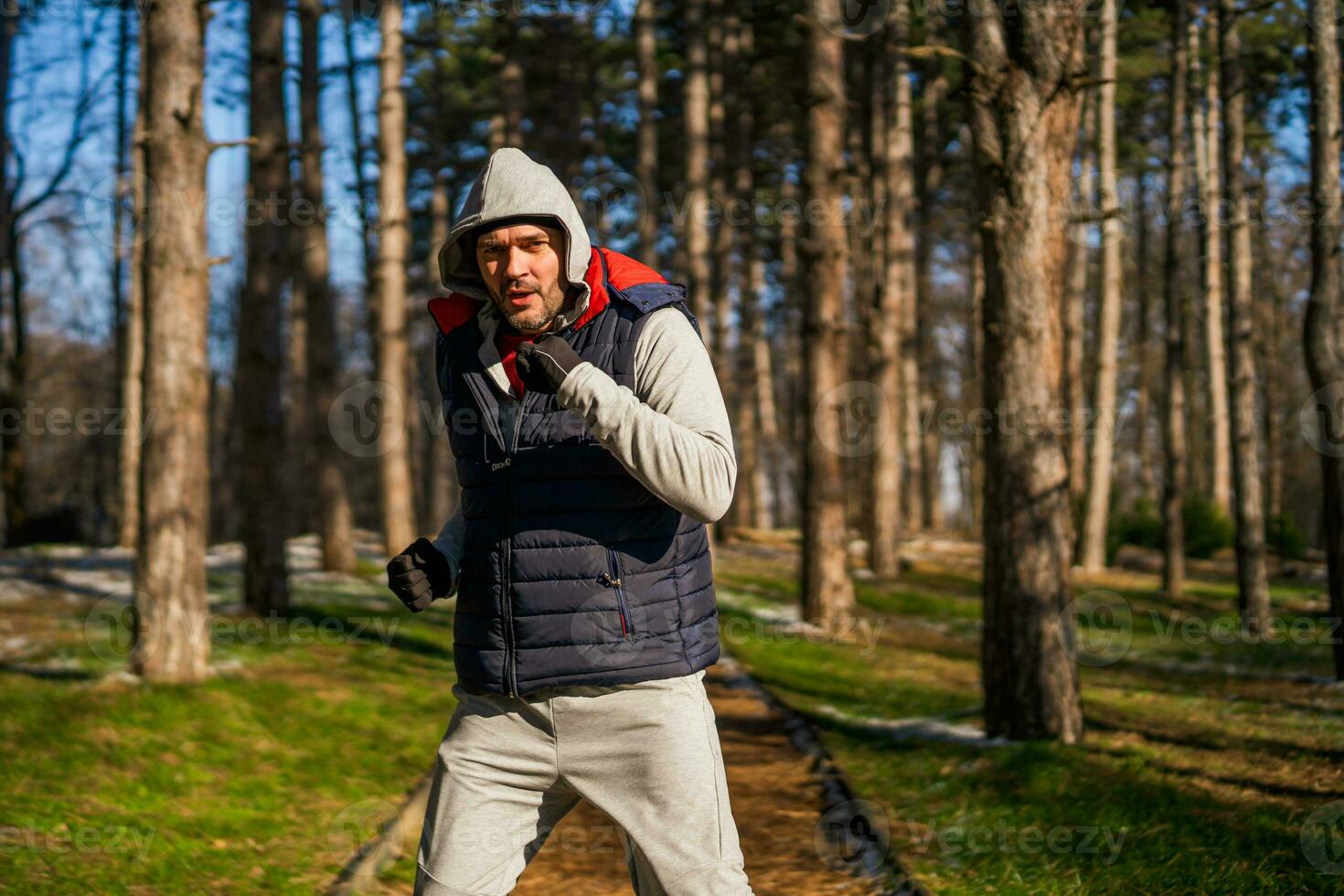 boxer é Treinamento às a parque dentro a inverno. ele é trabalhando em dele fitness. foto