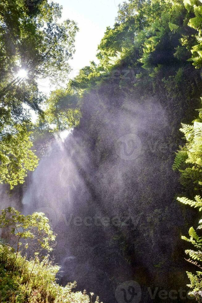 lindo água respingo cascata foto