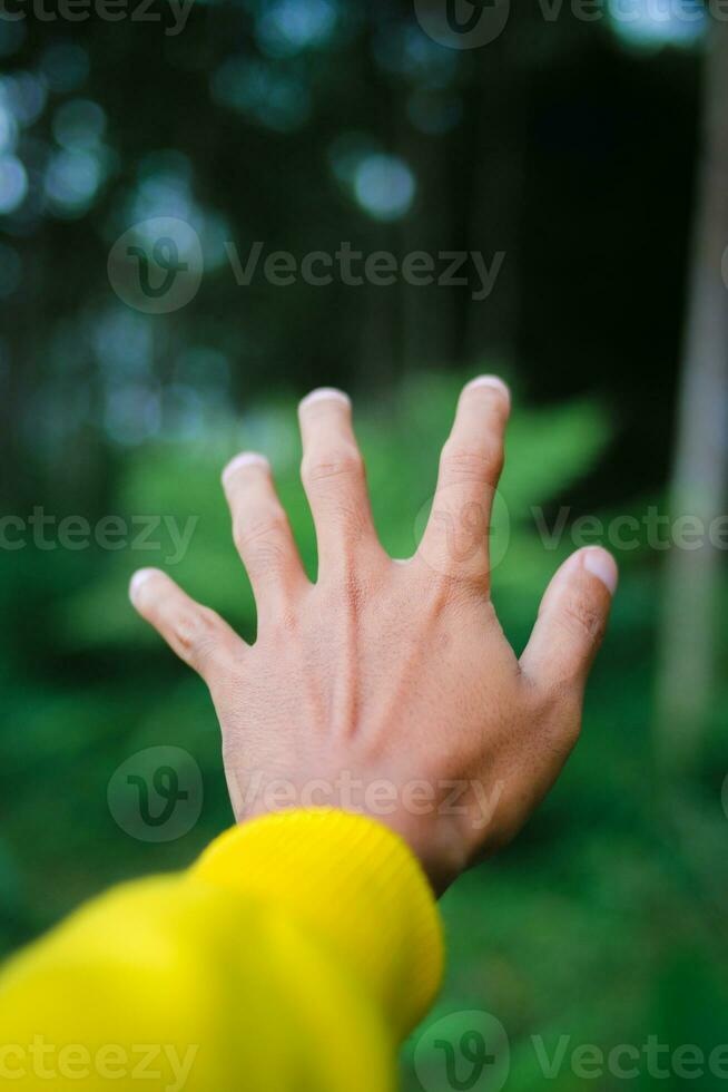 explorador masculino mão dentro uma verde chuvoso floresta. foto