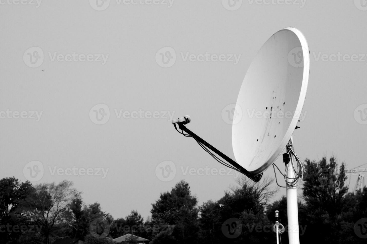 satélite prato ao ar livre foto