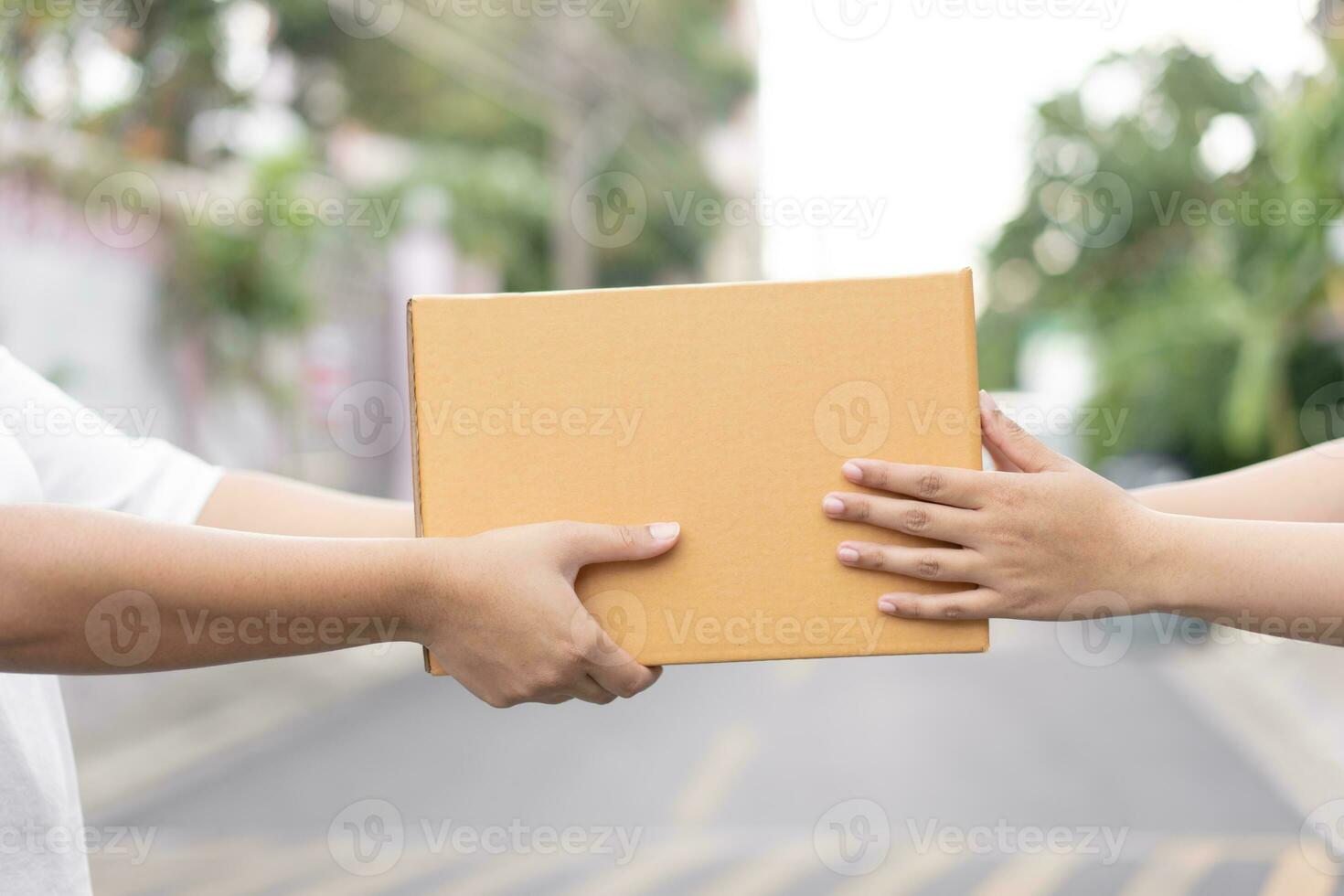 postal serviço enviando papel cartão caixa para cliente dentro frente do uma casa ar livre. Remessa serviço chegada e mandar para cliente endereço. foto