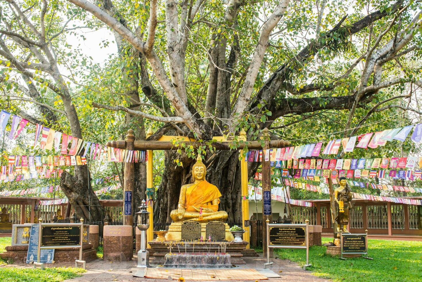 Buda com a primeiro bodhi árvore wat sri maha Panela, Tailândia foto