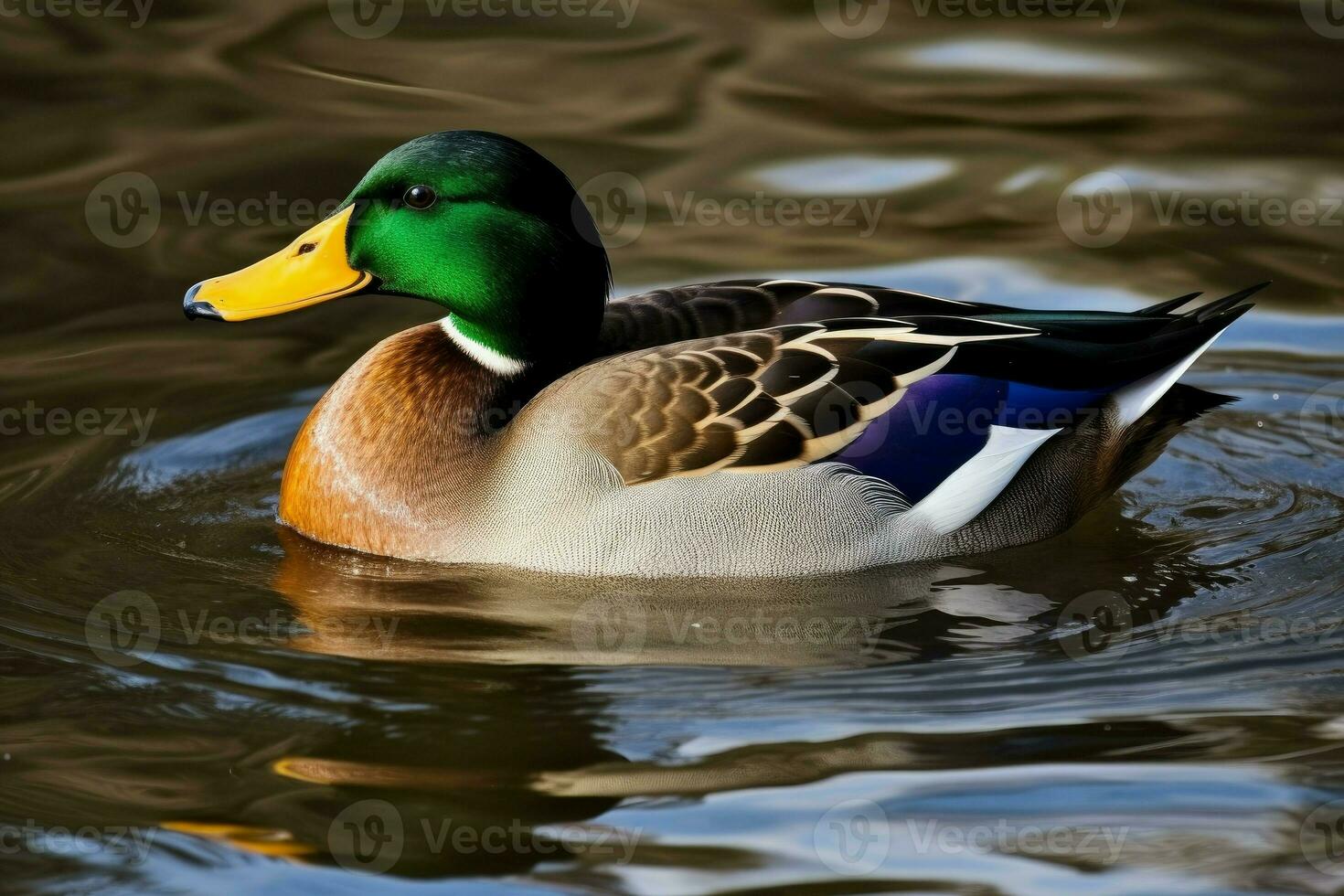 Pato parque lago. gerar ai foto