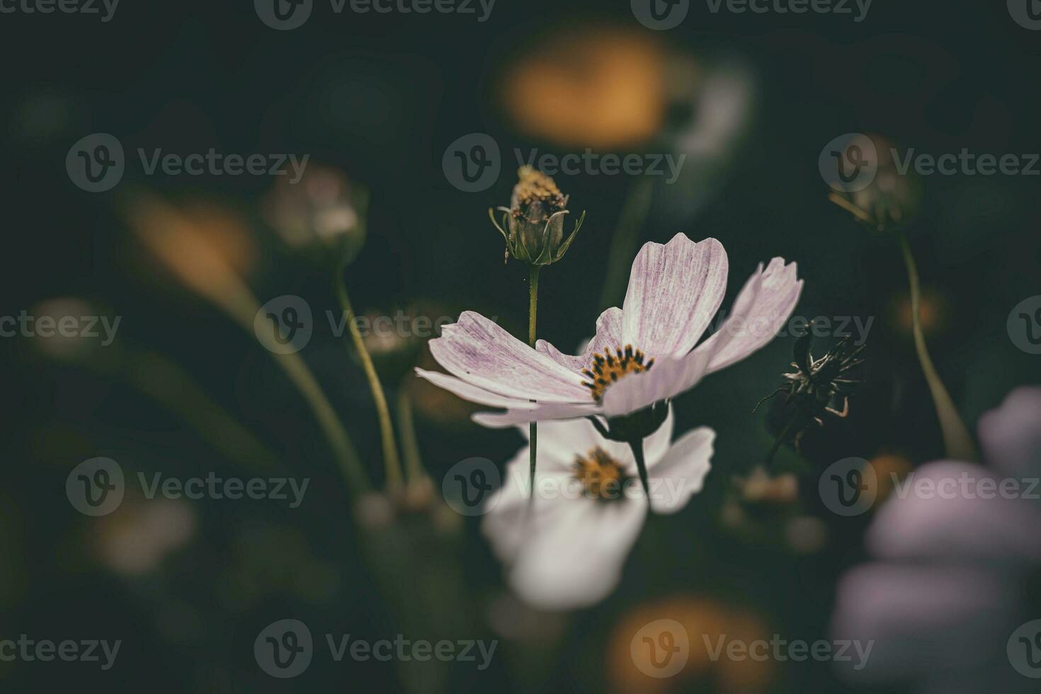 pequeno verão flores crescendo dentro a jardim entre verde folhagem fundo em uma caloroso dia foto