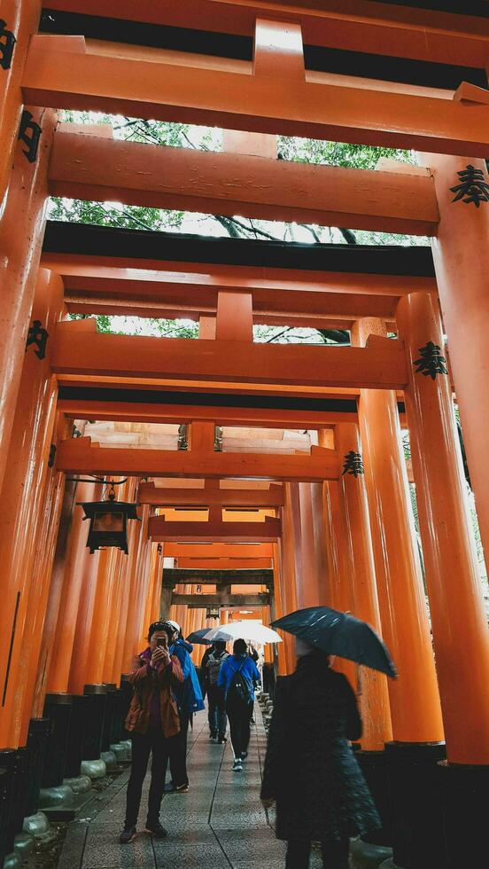 Quioto, Japão dentro abril 2019. turistas levando As fotos e caminhando dentro a Fushimi Inari área do Quioto.