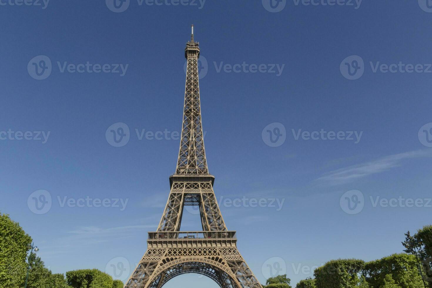 Visão em eiffel torre a partir de a campeão de Marte foto