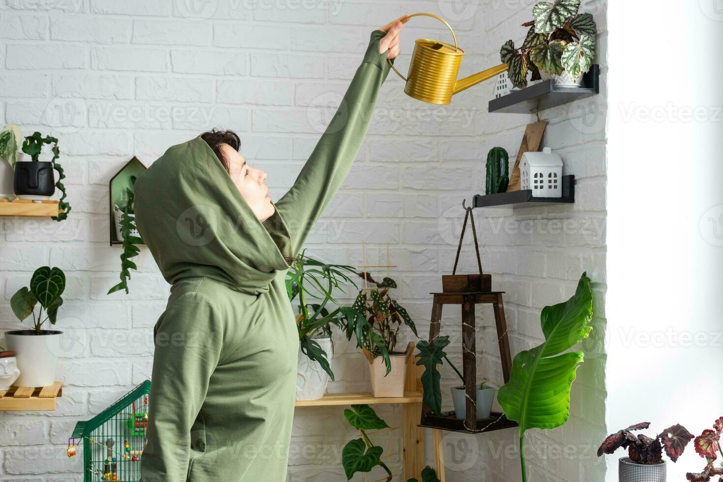 uma mulher águas casa plantas a partir de dela coleção do raro espécies a partir de uma rega pode, crescido com amor em prateleiras dentro a interior do a casa. casa plantar crescente, verde casa, água Saldo foto