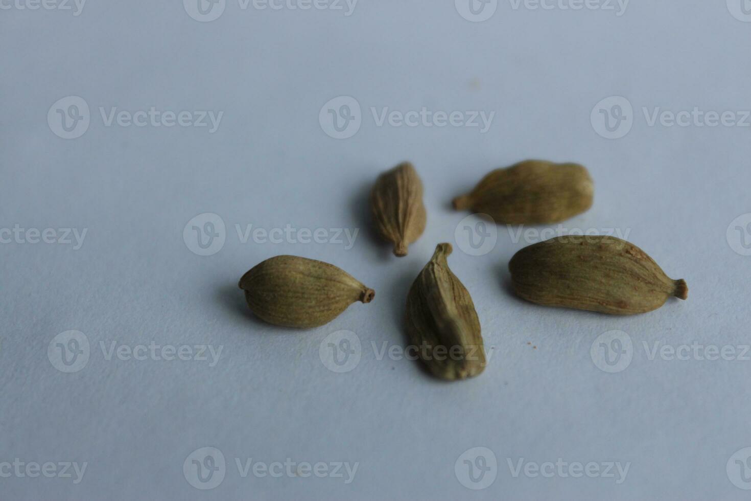 cardamomo sementes isolado em branco fundo. cardamomo é uma gênero do herbáceo floração plantas dentro a família cardamomo. foto