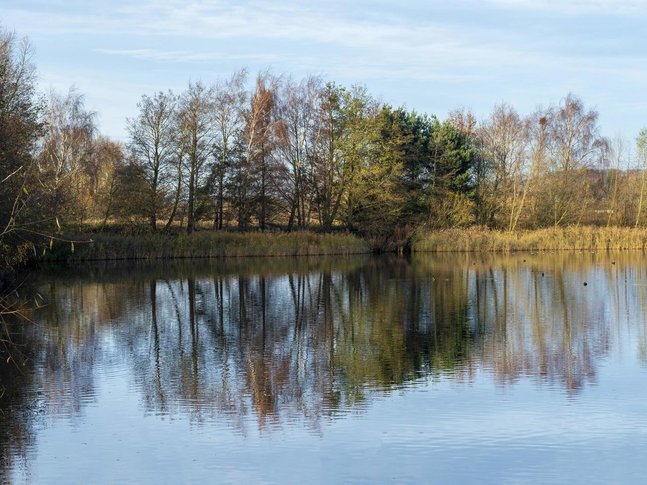 árvores refletidas nos pântanos da caverna do norte, yorkshire leste, inglaterra foto