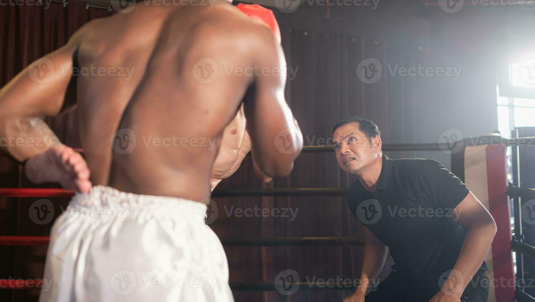 a boxe juiz devo Assistir a fermentação do ambos boxeadores em a estágio. manter banindo e verificação a dois pugilistas lutas para Vejo E se elas estão contra a regras ou não. isto é para evita a risco este ma foto