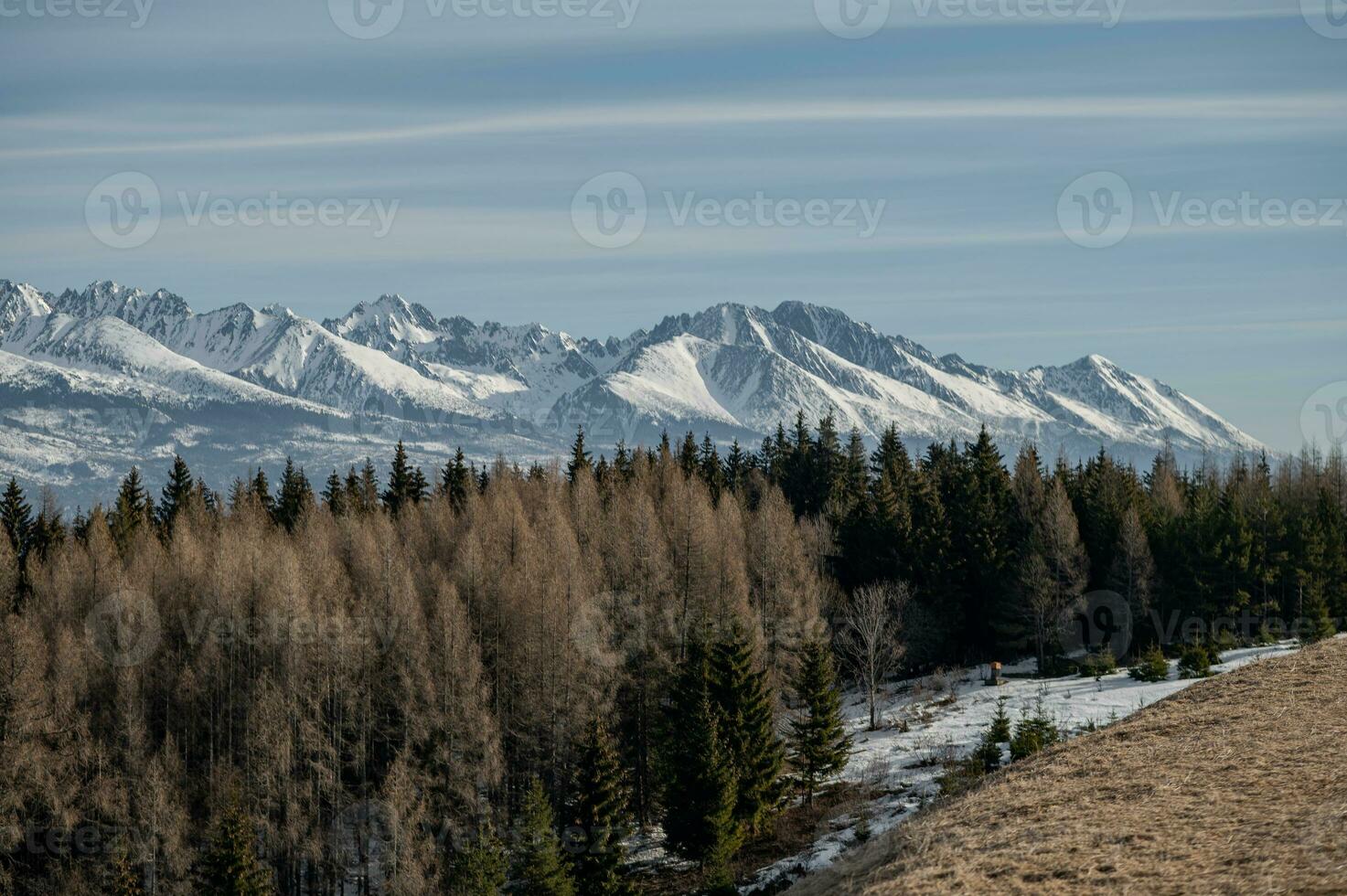 montanha, árvore, neve Primavera foto a partir de Eslováquia, Liptov 10.04.2023