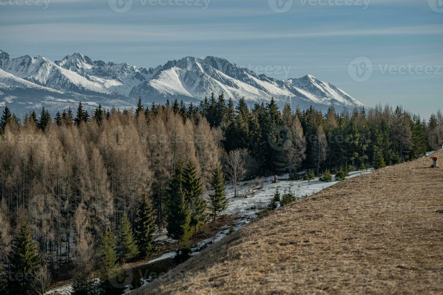 montanha, árvore, neve Primavera foto a partir de Eslováquia, Liptov 10.04.2023