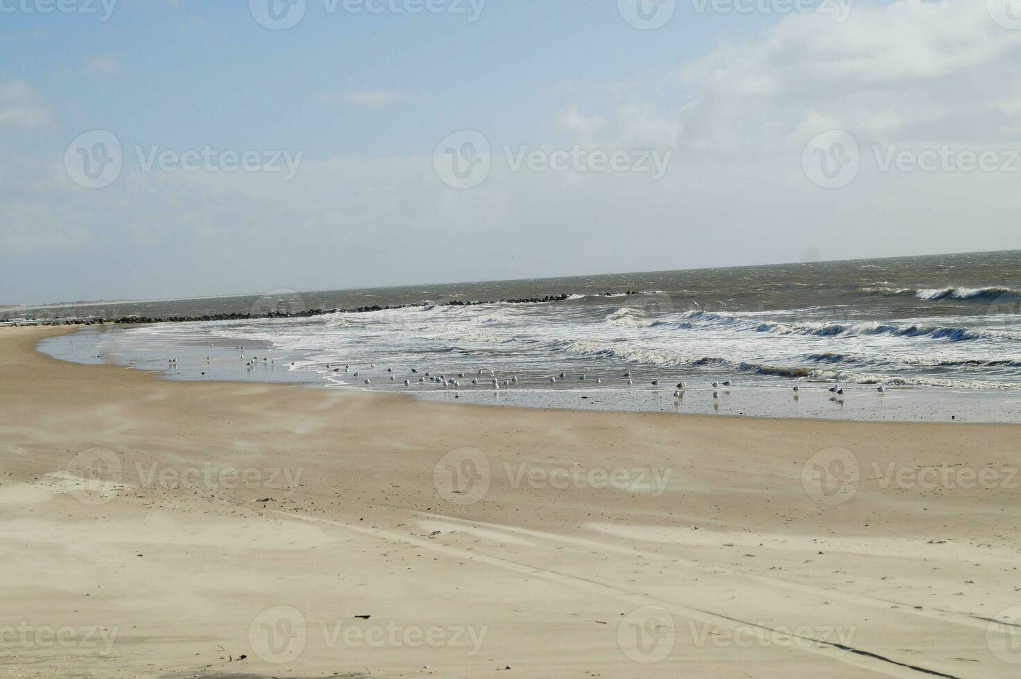 a sem fim de praia às a norte mar hvidbjerg encalhar blavand Dinamarca foto