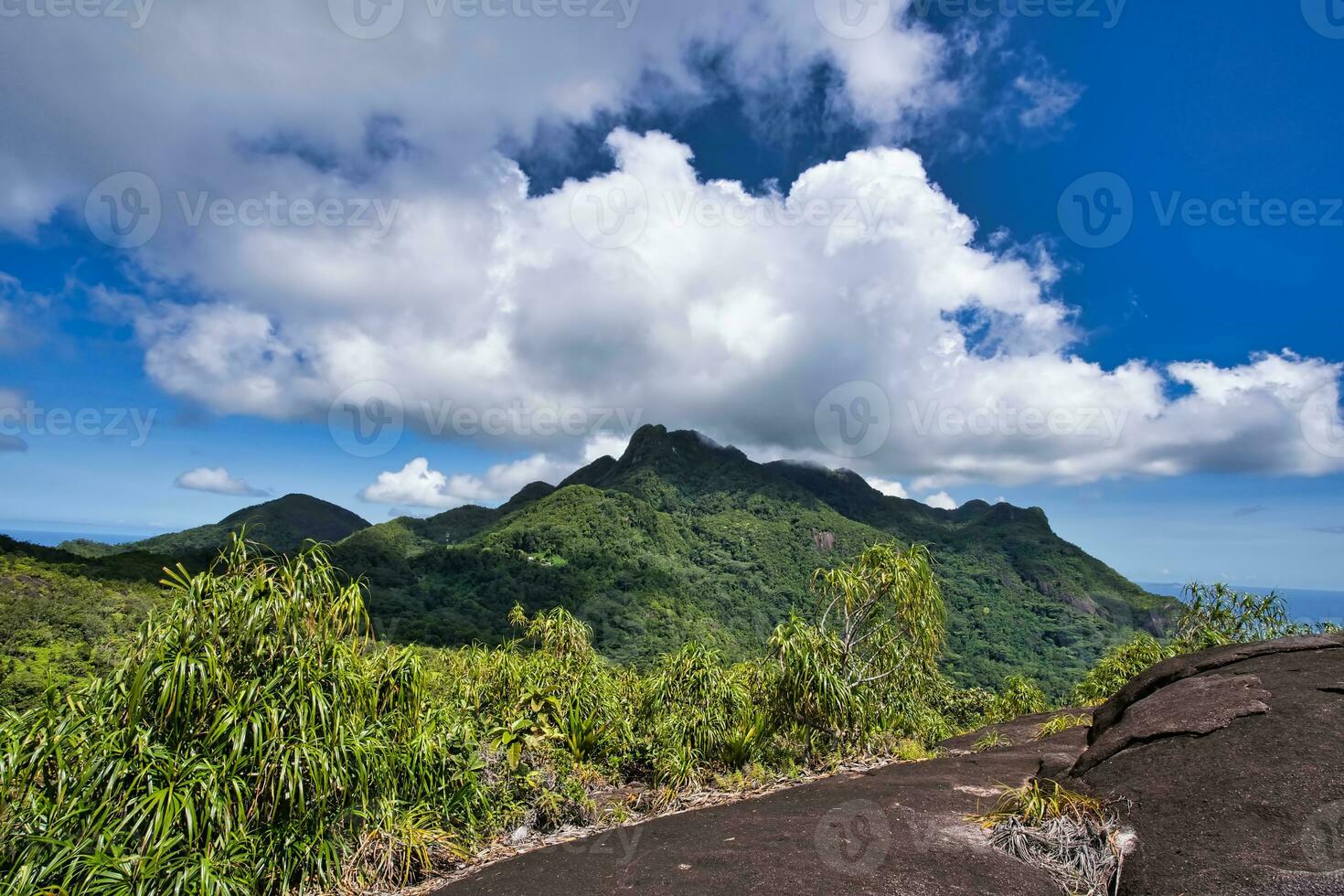 copolia trilha Visão do seychelles Altíssima montanha, manhã seichelense, manhã blanc e troise frere montanha foto