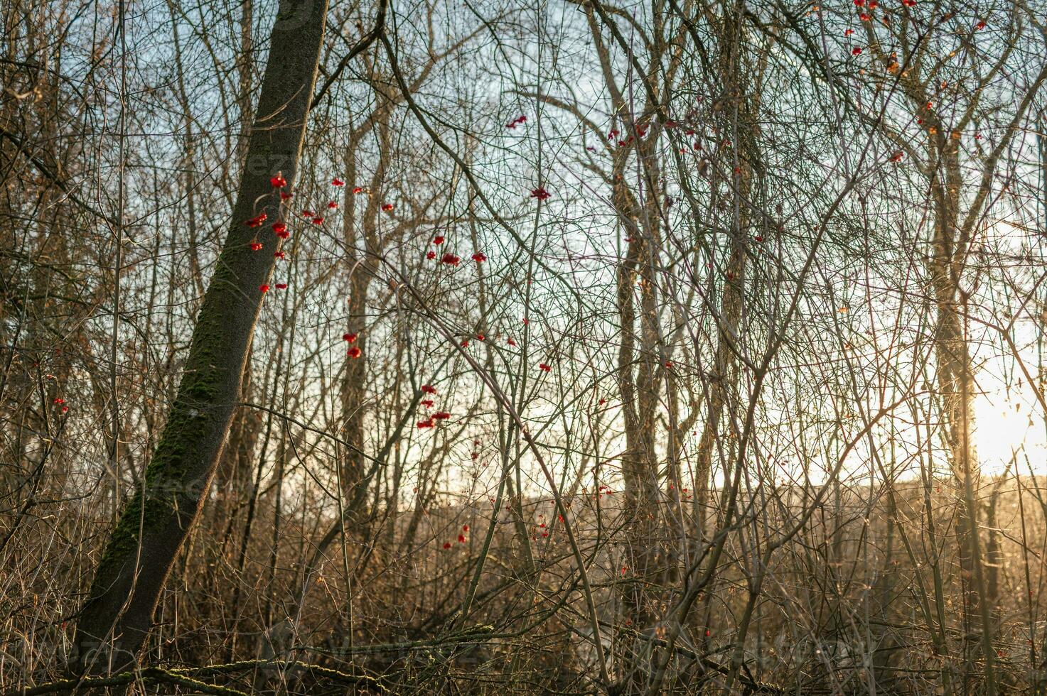 Primavera foto a partir de liptov, Eslováquia 15.04.2023