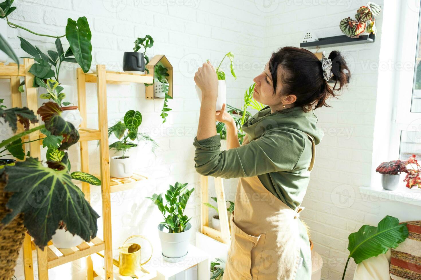 mulher plantar criador examina e admira casa plantas dentro uma Panela a partir de dela coleção às casa em a prateleiras. procurar para pragas, Cuidado, rega, fertilizantes. casa colheita Produção foto