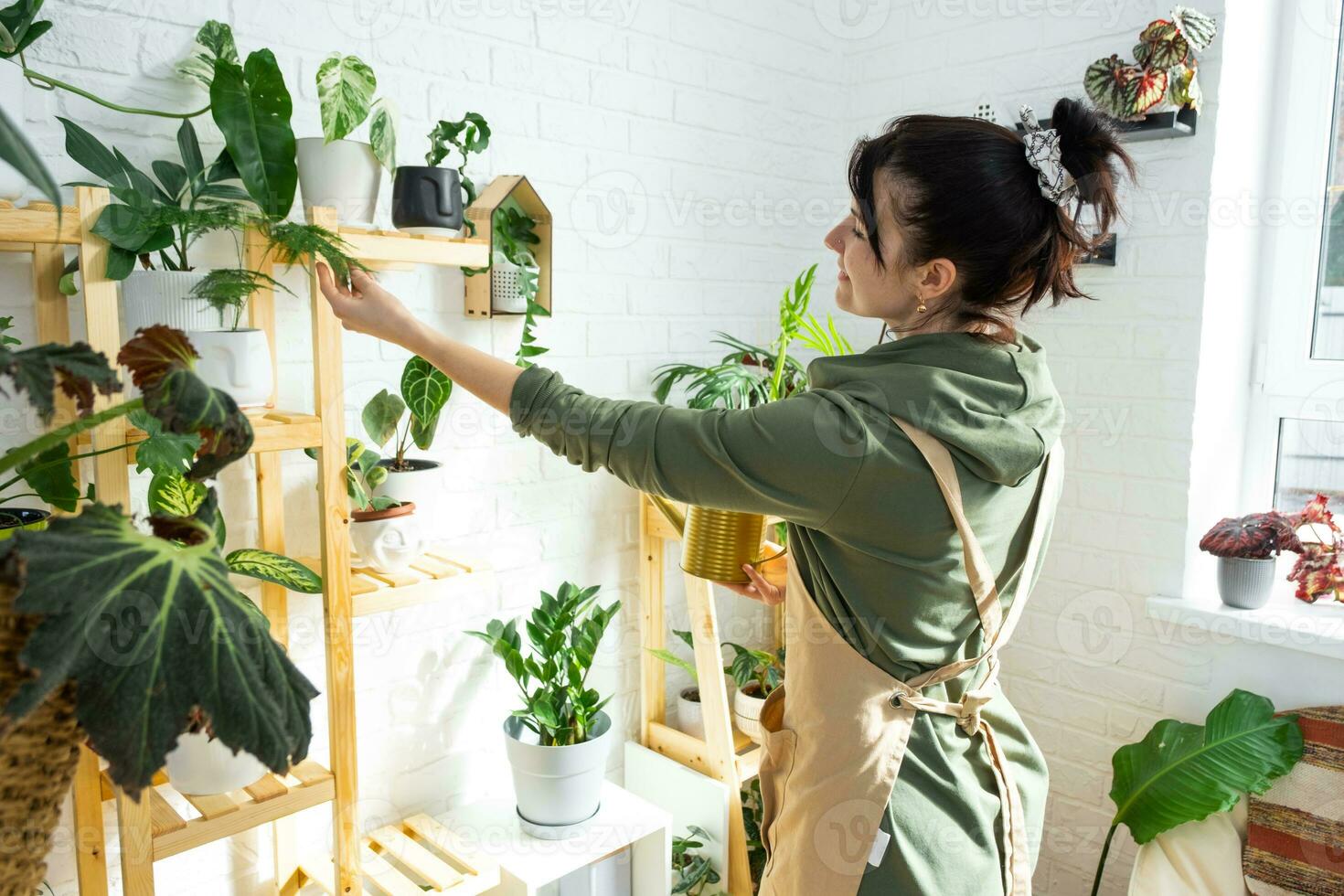 mulher plantar criador examina e admira casa plantas dentro uma Panela a partir de dela coleção às casa em a prateleiras. procurar para pragas, Cuidado, rega, fertilizantes. casa colheita Produção foto