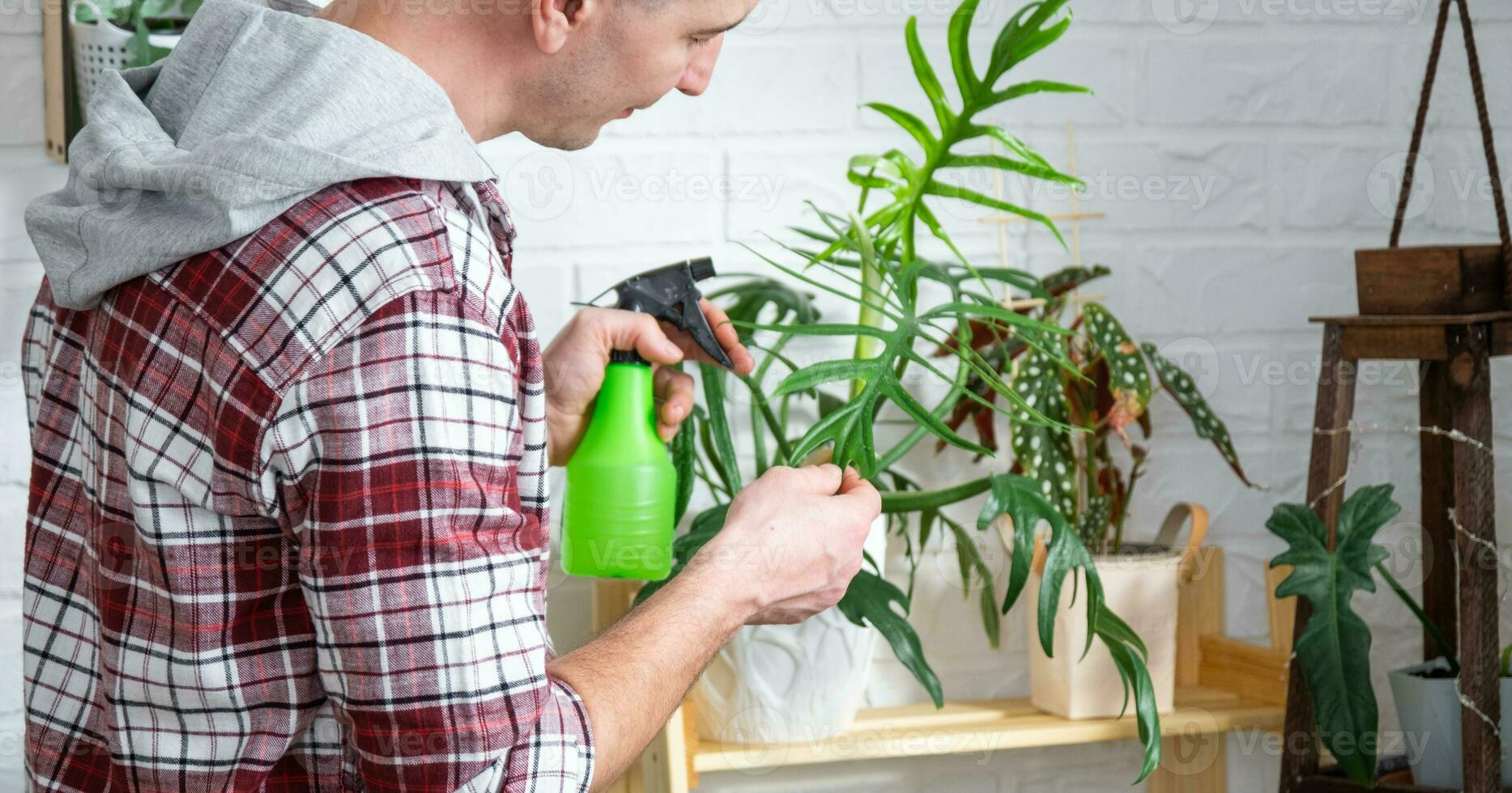 homem plantar criador examina e admira casa plantas dentro uma Panela, procurar para pragas, Cuidado, rega, fertilizantes, guloseimas a partir de pragas. casa colheita Produção foto