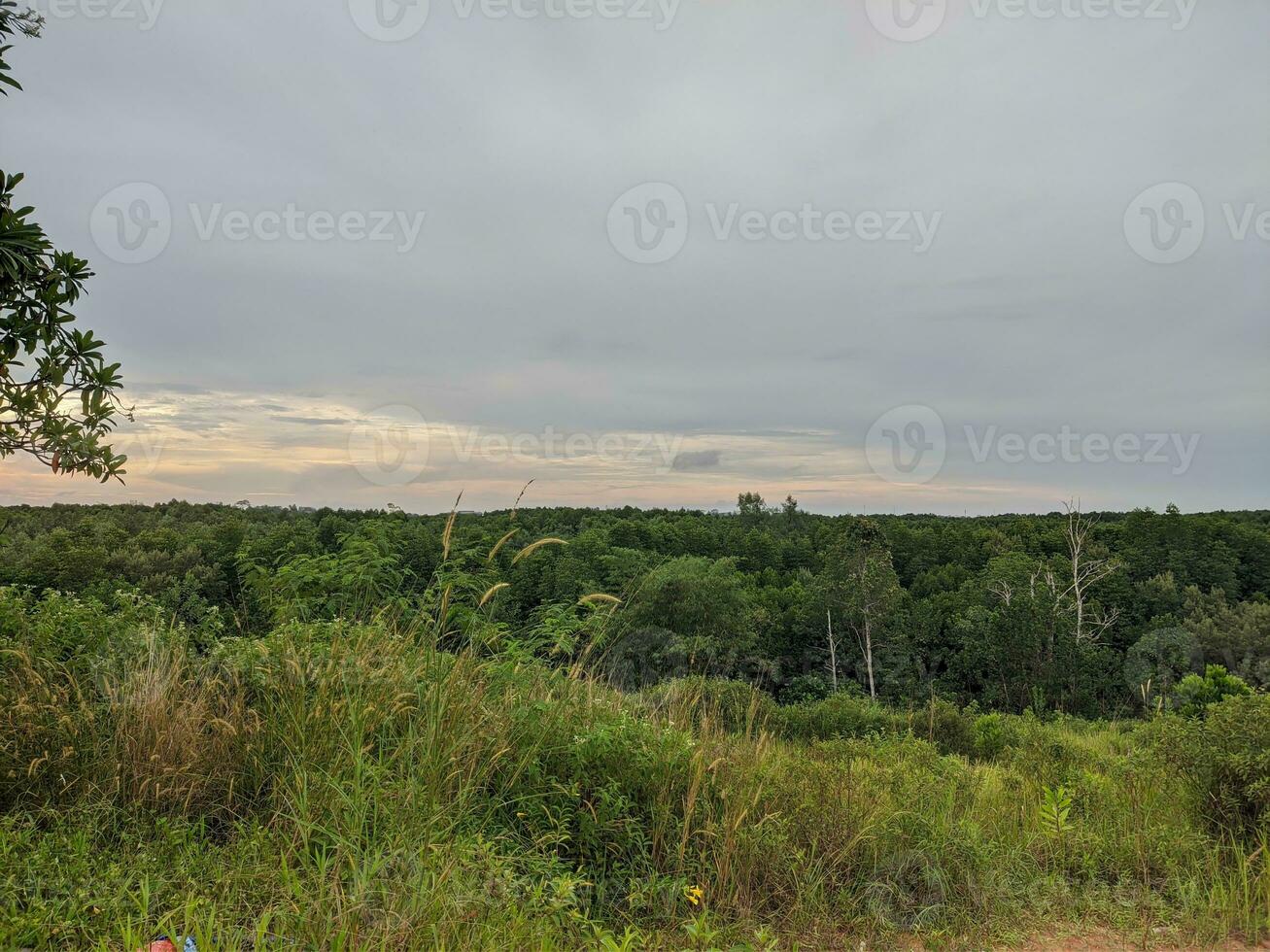 paisagem, foto em a Colina