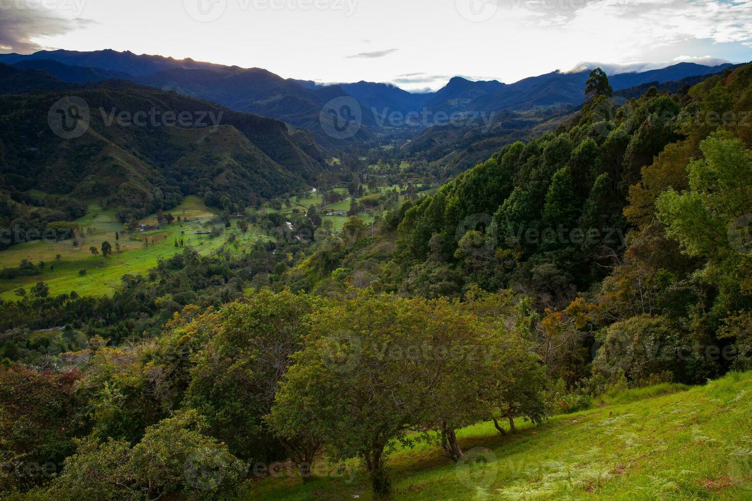 lindo Visão sobre a cocora vale dentro Salento, a partir de el mirador, localizado em a região do quindio dentro Colômbia foto