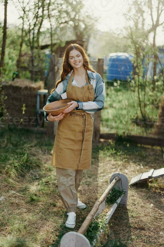 uma jovem mulher trabalho em uma Fazenda e derrama fresco alimentação a partir de uma tigela para alimentação a galinhas e faz certo a Comida é limpar \ limpo e orgânico para a saúde do a rostos e galinhas em uma verão ensolarado dia foto