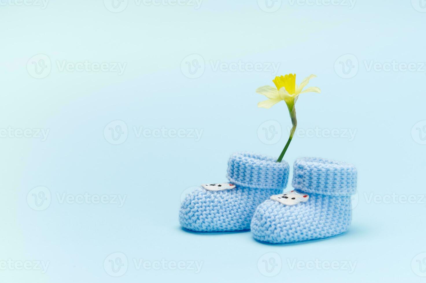 ainda vida. azul tricotado bebê meias, botinhas e amarelo narciso flor, isolado fundo. recém-nascido roupas. moda foto