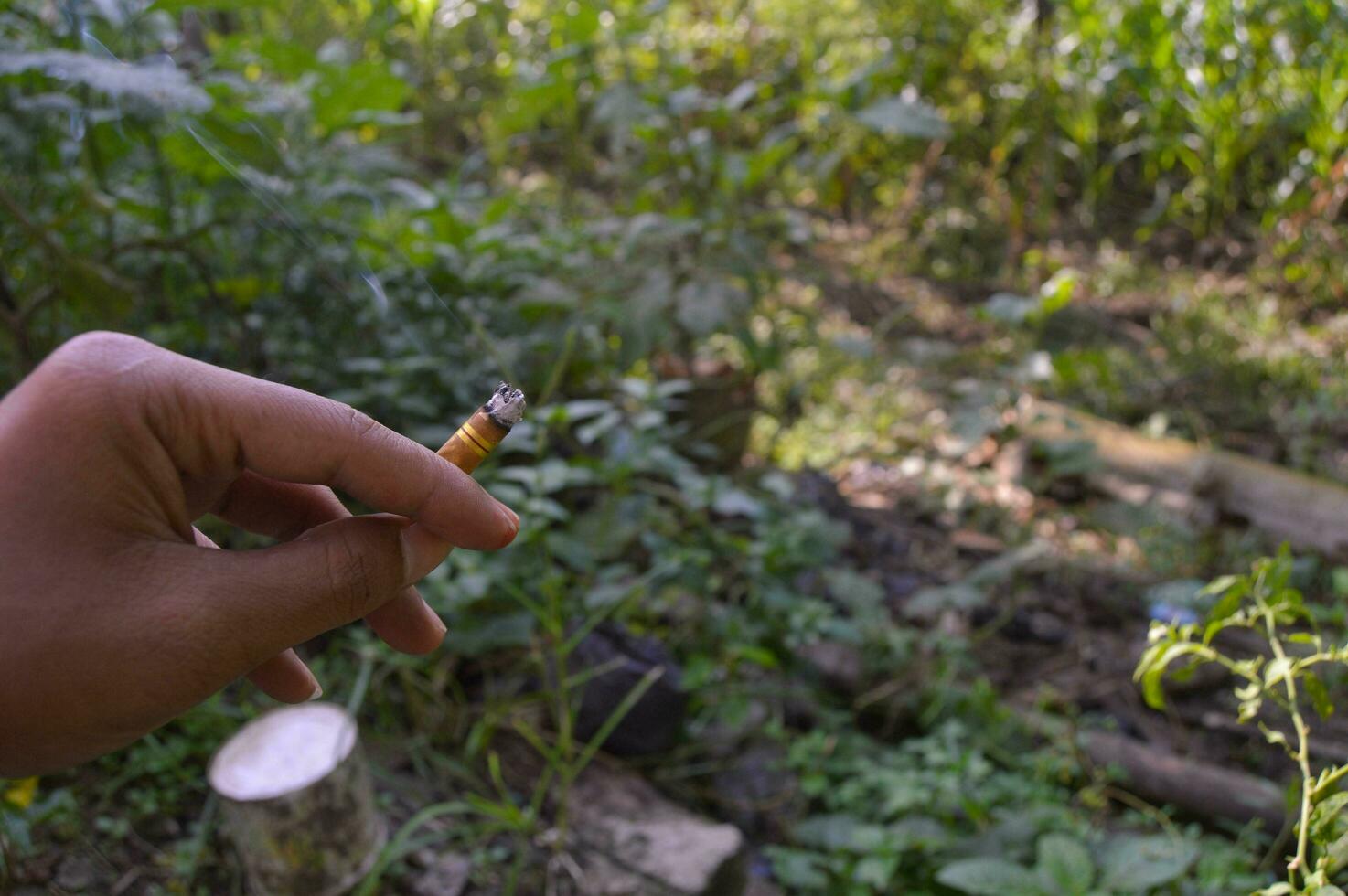 mão segurando cigarro bunda ao ar livre foto