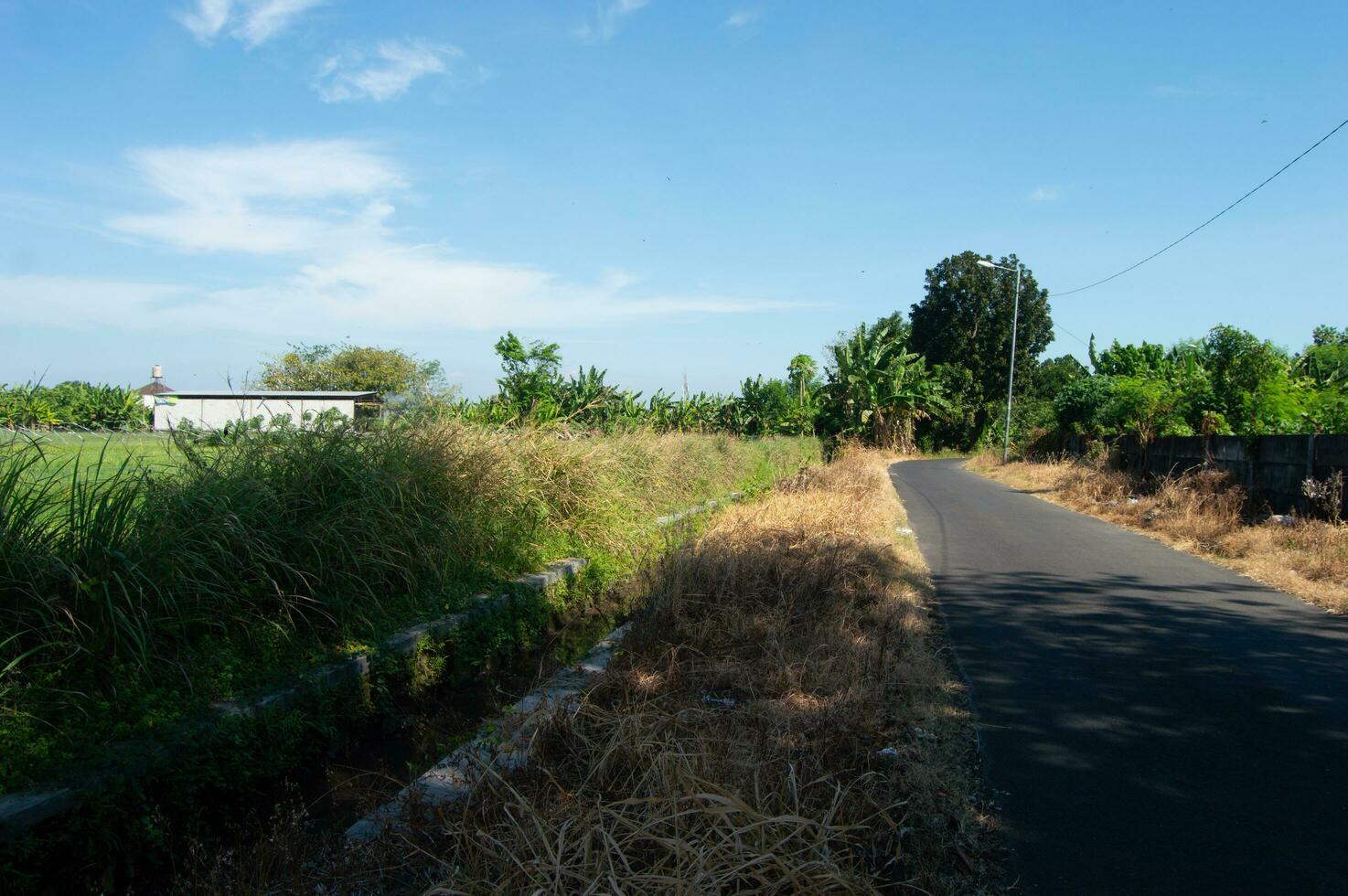 Visão do uma quieto estrada ao lado arroz Campos durante a dia foto