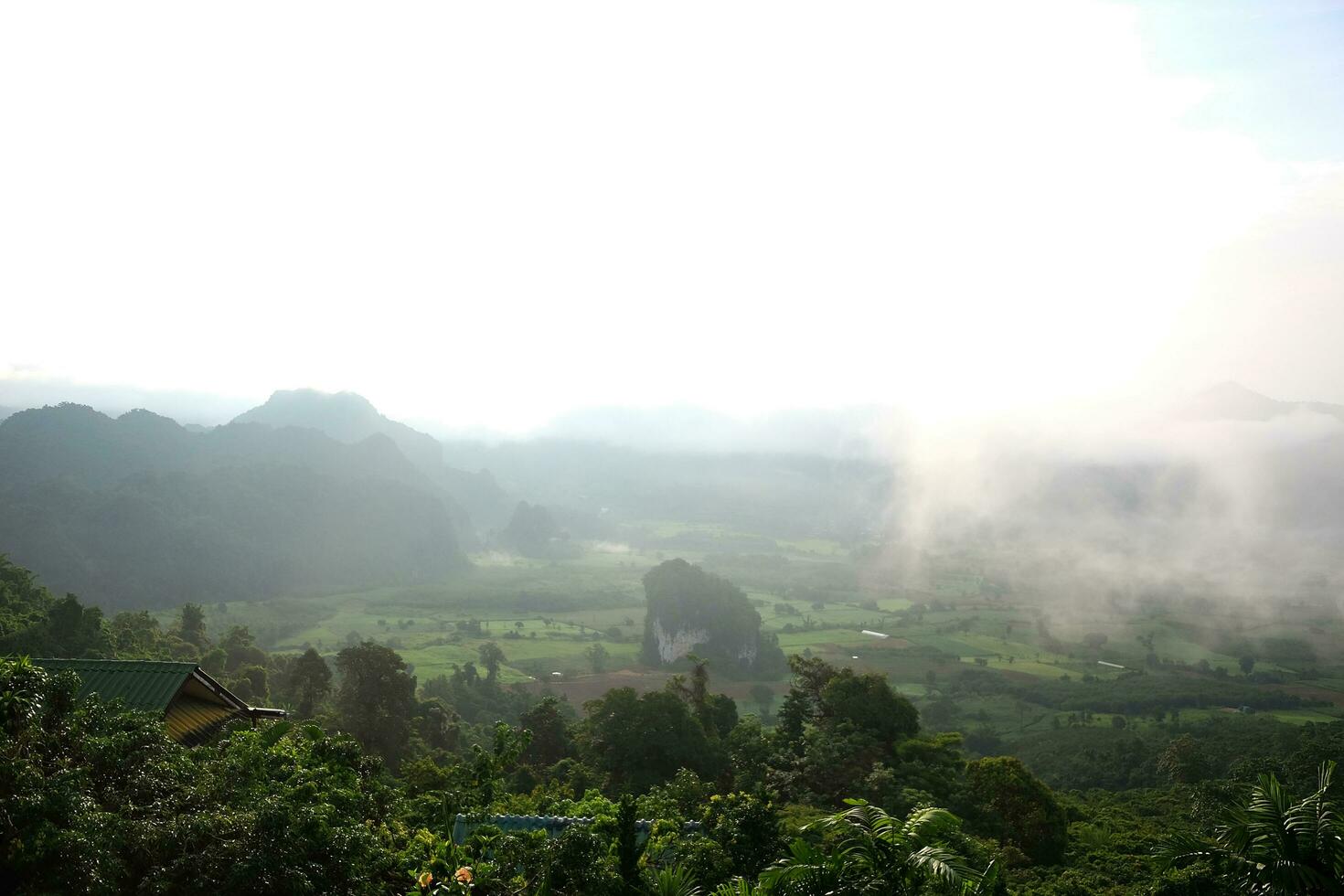 lindo panorama do ponto de vista em a vale phu lang kha montanha e névoa em vegetação floresta Colina dentro chuvoso estação do Tailândia foto